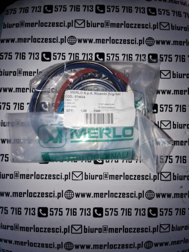074634 MERLO zestw uszczelnień do tłoczyska Merlo  (1).jpg