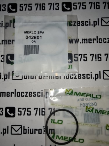 042601 MERLO oring OR.jpg