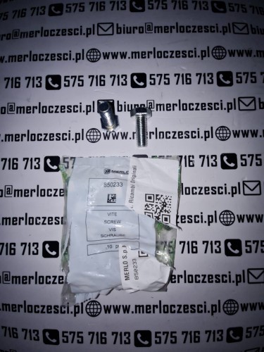 850233 MERLO śruba.jpg