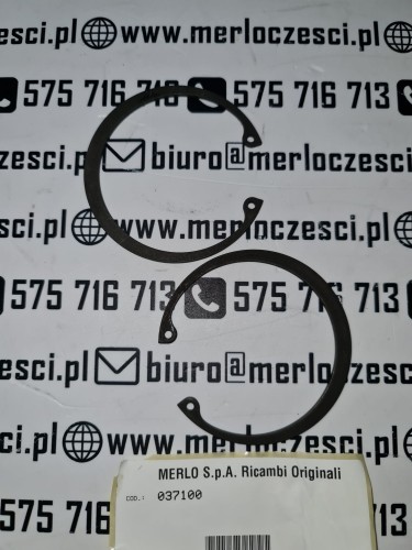 037100 MERLO seeger.jpg