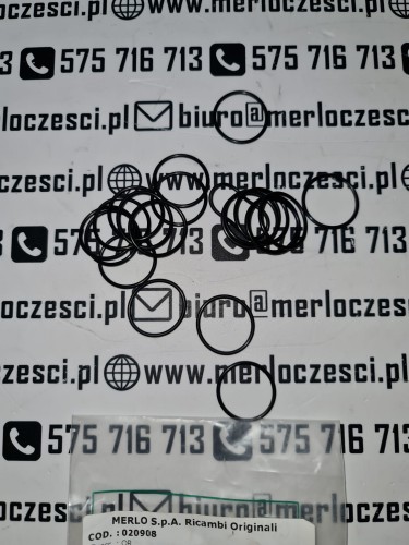020908 MERLO oring.jpg