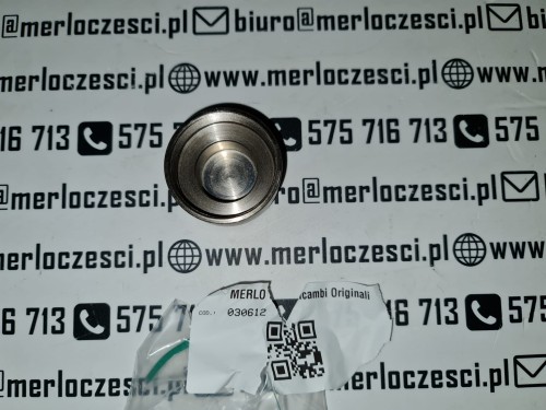 030612 MERLO korek nakrętka cylindra  (1).jpg