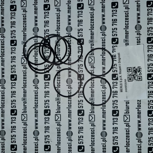 000856AA Merlo oring.jpg