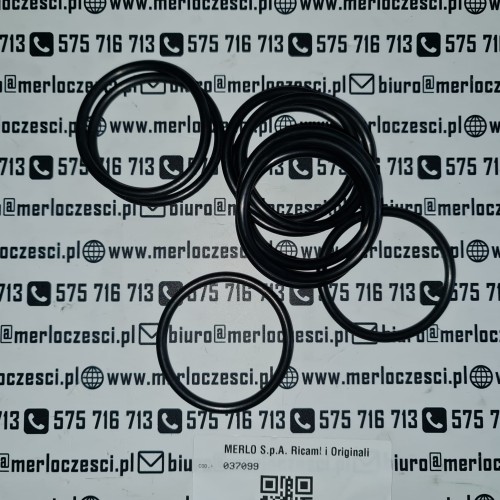 037099 Merlo oring.jpg
