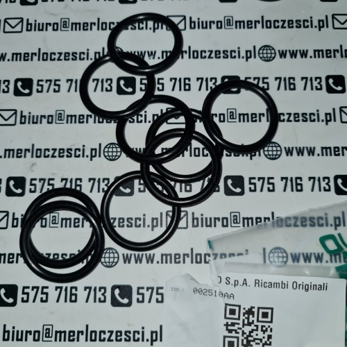 002510AA Merlo oring  (1).jpeg