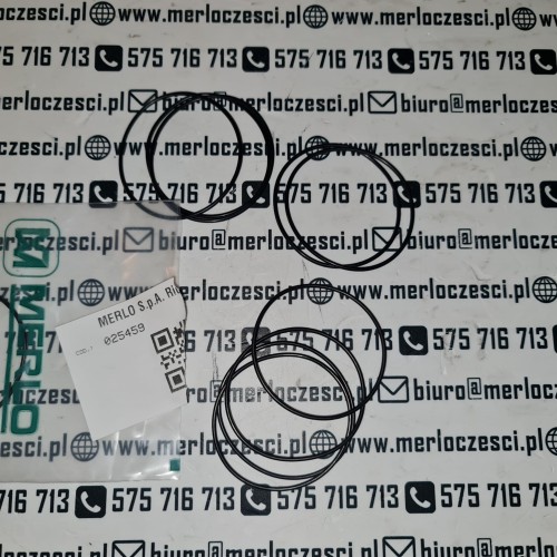 025459 Merlo oring.jpg