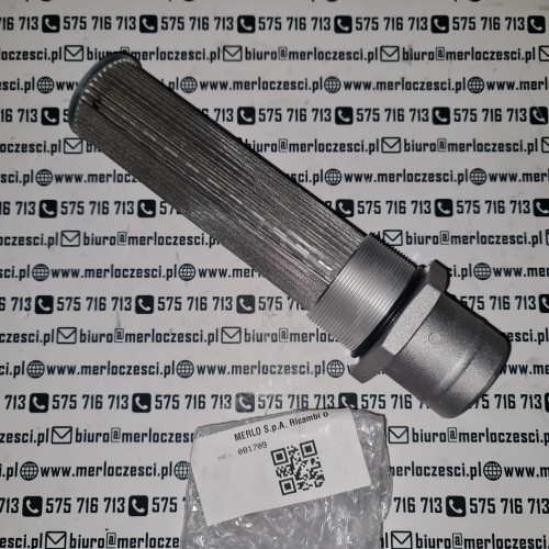 081709 Merlo filtr.jpg