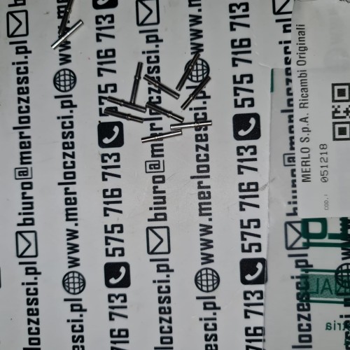 051218 Merlo styk pin.jpg