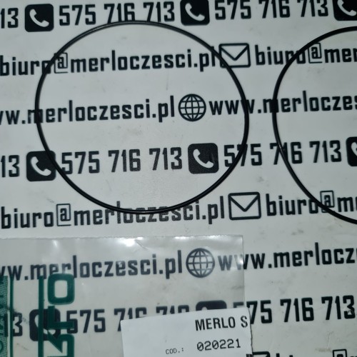 020221 Merlo oring (1).jpeg