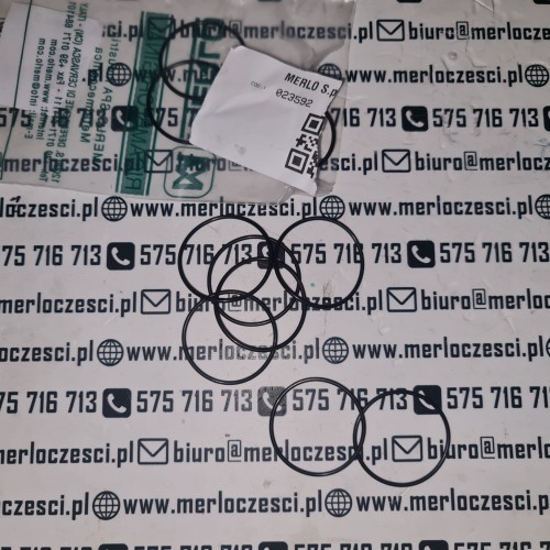 023592 Merlo oring.jpg