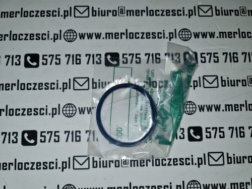 001347AA Merlo uszczelka  (2).jpg