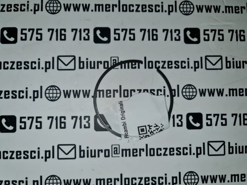 023488 MERLO seeger (1).jpg