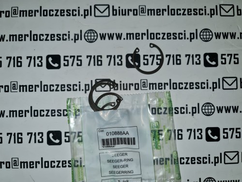 010888AA Merlo seger.jpg