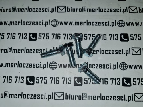 850235 Merlo śruba (1).jpg