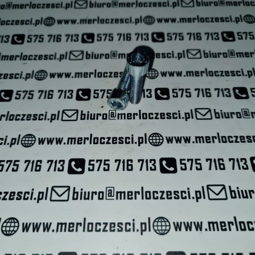 850437 Merlo śruba  (1).jpg