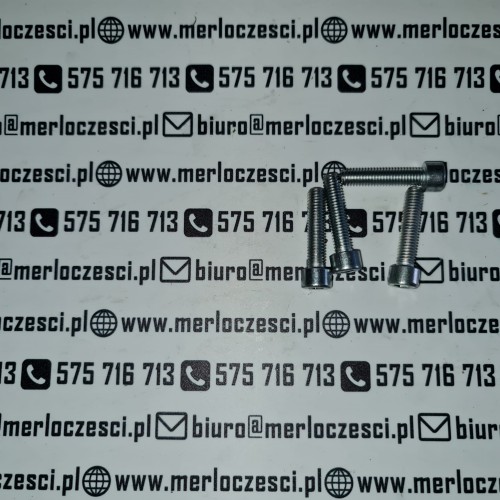 850408 Merlo śruba  (1).jpg