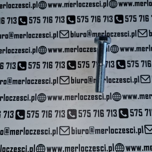 850393 Merlo śruba  (2).jpg