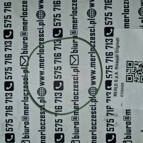 039088 Merlo oring.jpg