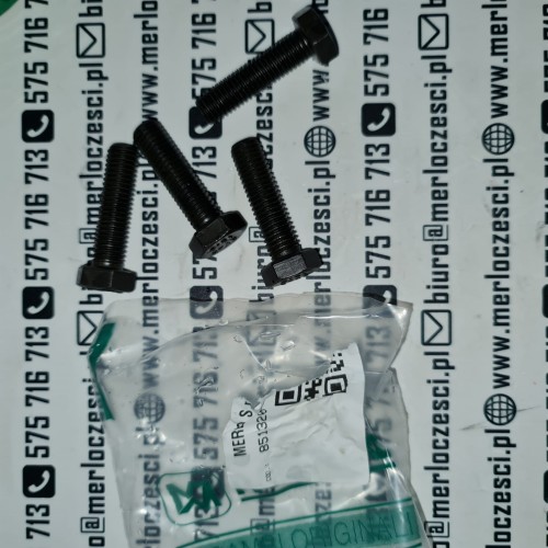 851320 Merlo śruba pompa.jpg