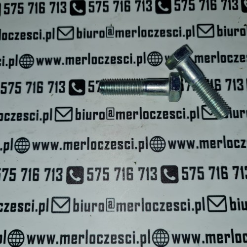 850411 Merlo śruba (1).jpg