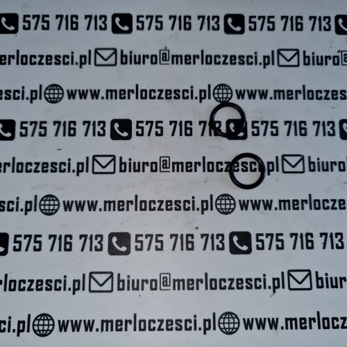 002484AA Merlo oring (2).jpg