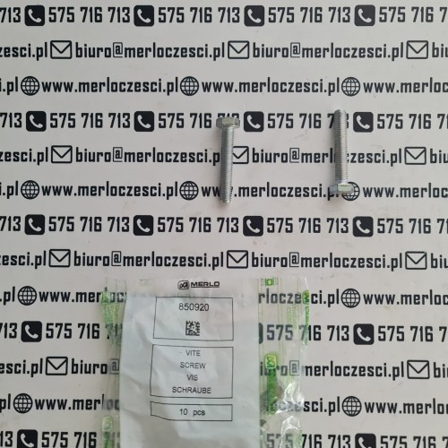 850920 Merlo śruba.jpg