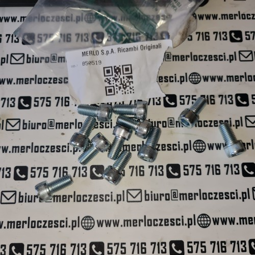 850519 Merlo śruba.jpg