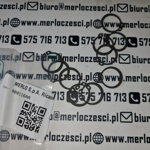 000116AA Merlo seeger.jpg