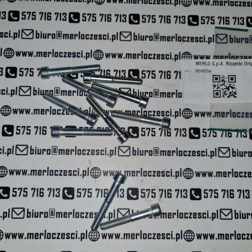 850550 Merlo śruba.jpg