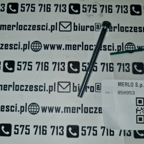 850953 Merlo śruba.jpg