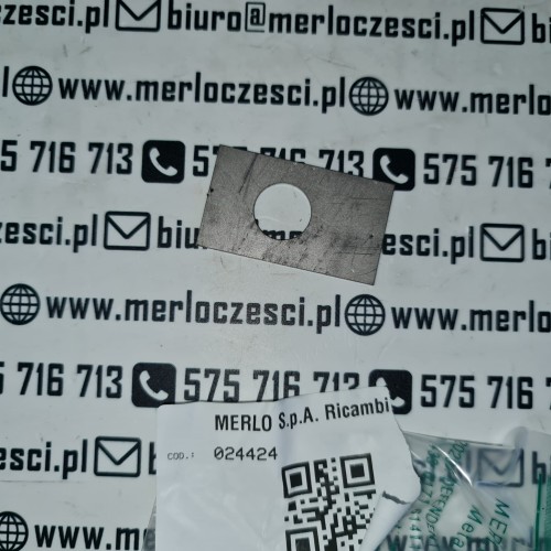 024424 Merlo płytka.jpg