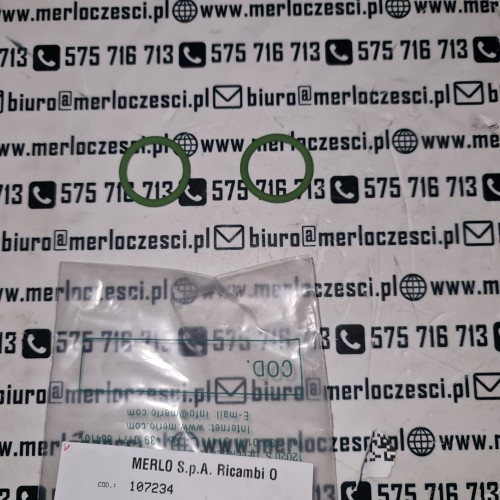 107234 Merlo oring.jpeg
