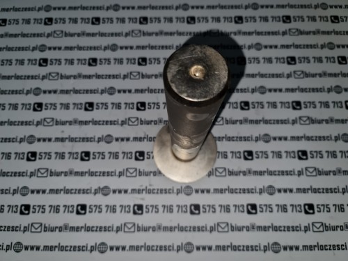029379 Merlo sworzeń merloczesci (3).jpg