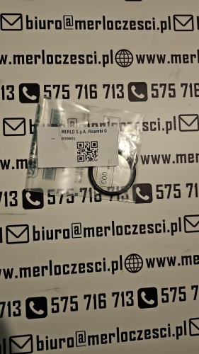 038081 Merlo oring.jpg