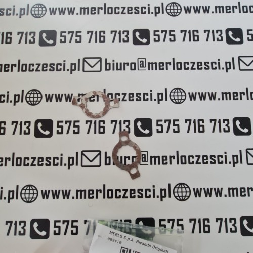 083418 Merlo płytka.jpg