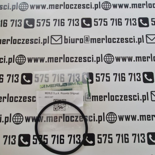 083187 Merlo  (2).jpg