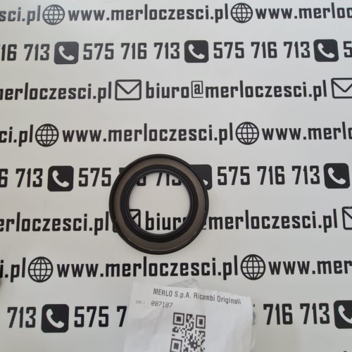 087187 Merlo odrzutnik oleju (1).jpg