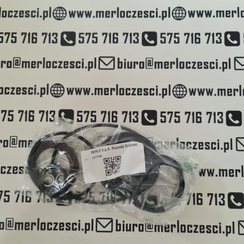 107796 Merlo seal kit (2).jpg