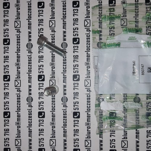 850747 Merlo śruba.jpg