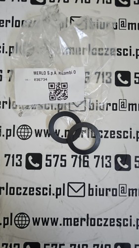 036734 Merlo sprężyna.jpg