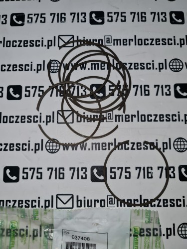 037408 MERLO Seeger Uszczelniacz simering simmerring SeegerRING zimering.jpg