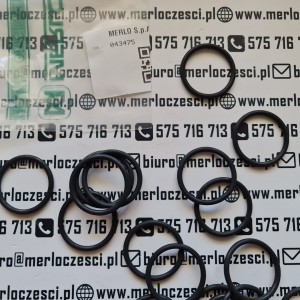 043475 MERLO OR oring