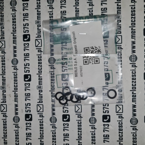 057022 Merlo oring.jpg