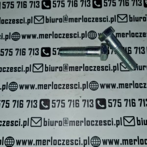 850411 MERLO śruba 