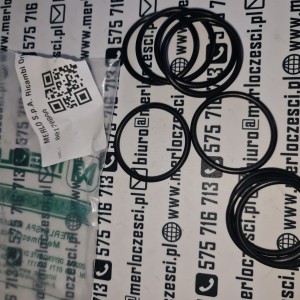 001708AA MERLO oring OR